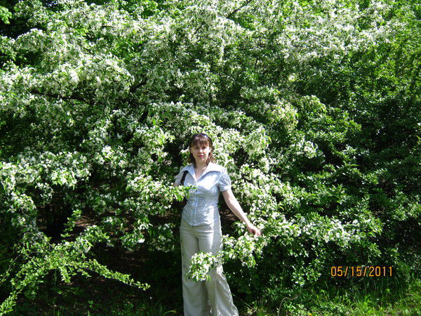 Елена Задоркина