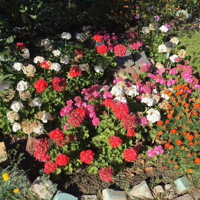 Ксенечка Пичужкина