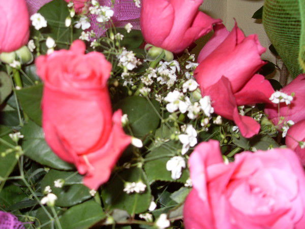 Лариса Танковская