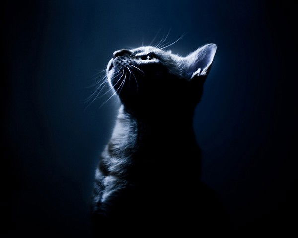 Татьяна Савельева