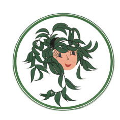 Мбдоу Дс Кв Ивушка