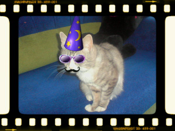 Макс Маркин