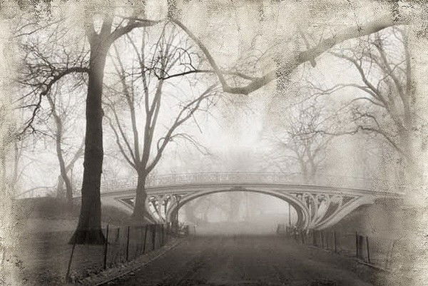 Виталий Никитин