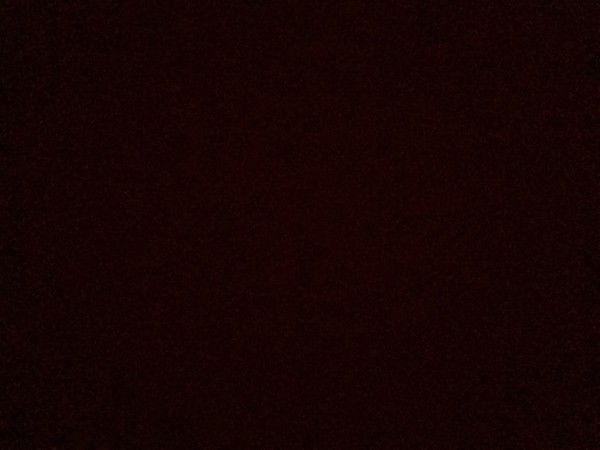 Амир Тагиров