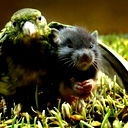 Евгений Умаров