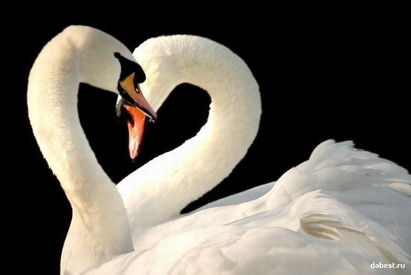 Ксения Фокина