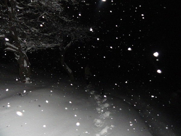 Miliy Тот Самый