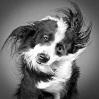 Даша Полушина