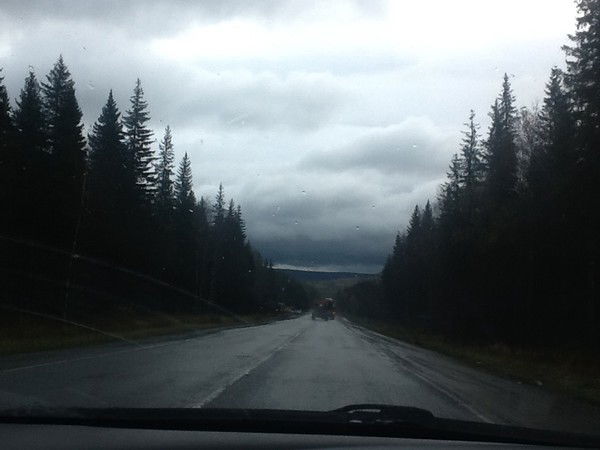 Nosferatym Transylvania