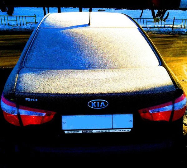 Дмитрий Васин