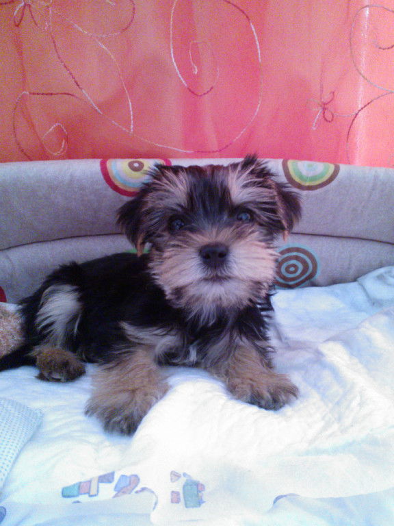 Евгений Соловьёв