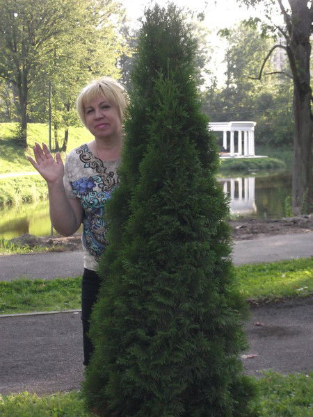 Берутта Кривенко