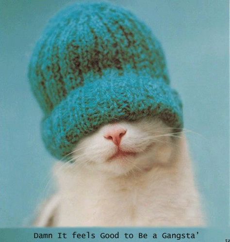 Екатерина Каченовская