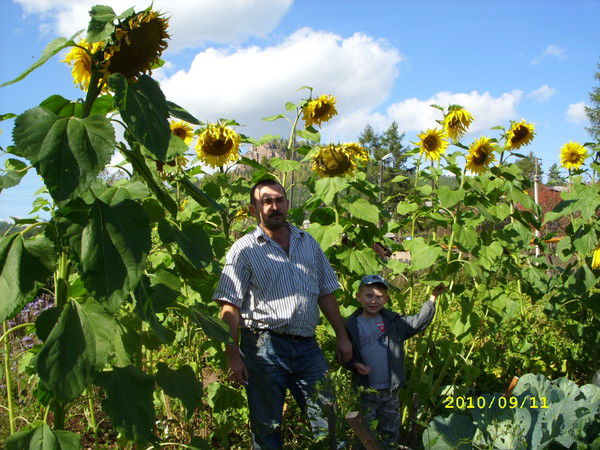 Игорь Белоголов