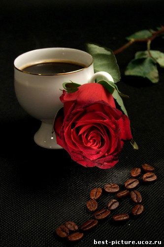 Бибигул Мурзалиева