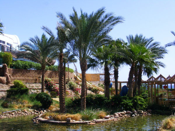 Света Светлана