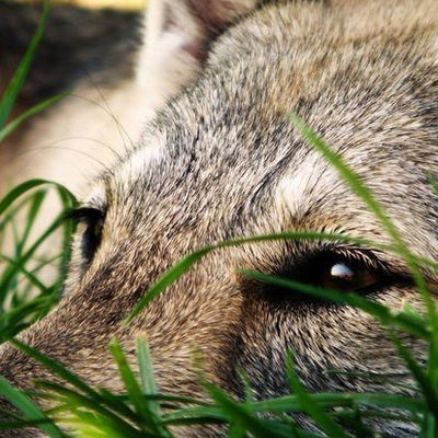 Анастасия Климова