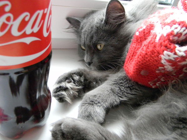 Наталья Яновская