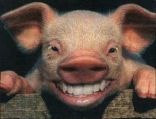 Дмитрий Гринек