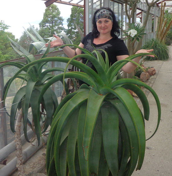 Марина Злобина