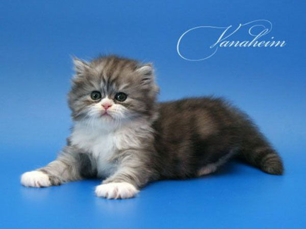 Гульнара Оралова