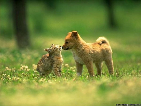 Калдыбай Каражанов