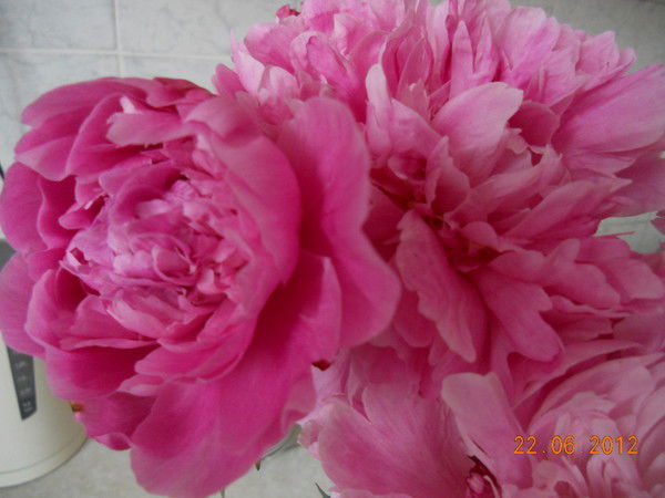 Ирина Сайкинова