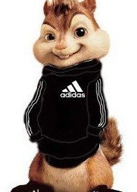 Коля Берекеля