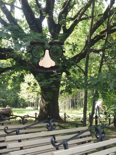 Наталья Осокина