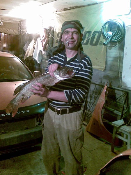 Владимир Ивасенко