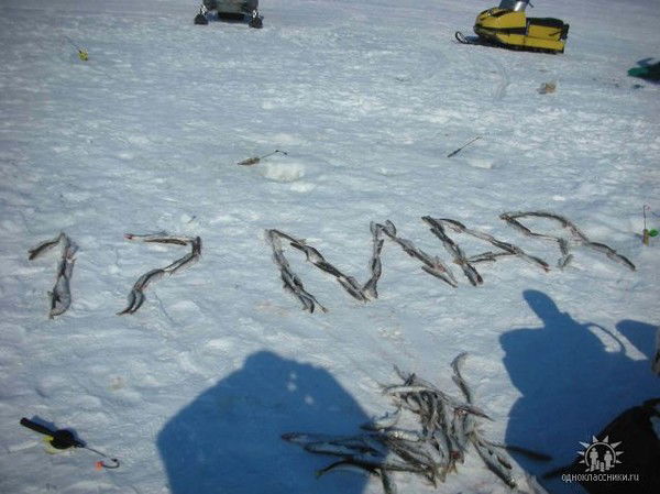 Владимир Владимирович