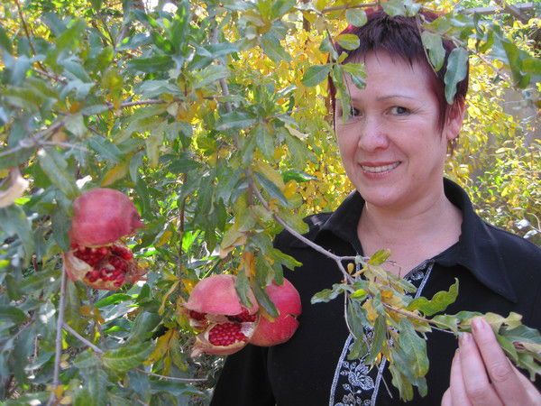 Роза Исмаилова