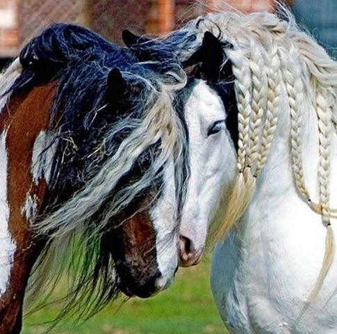 *8*наталия*8* ....