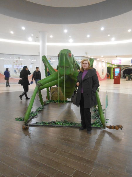 Татьяна Шестерикова