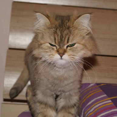 Магистратура Экономика