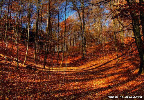 Оксана Леонтьева