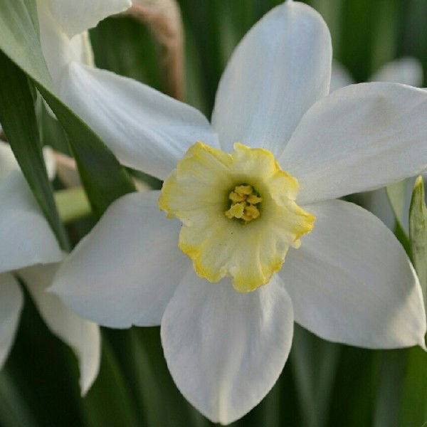 Наталья Бутакова