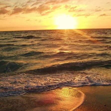 Лилия Лилия