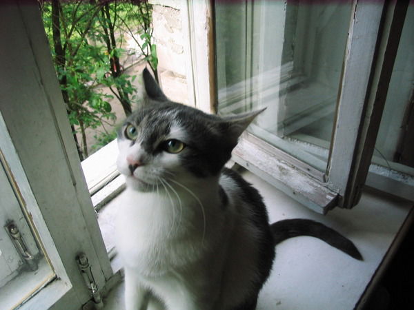 Сергей Соловьев