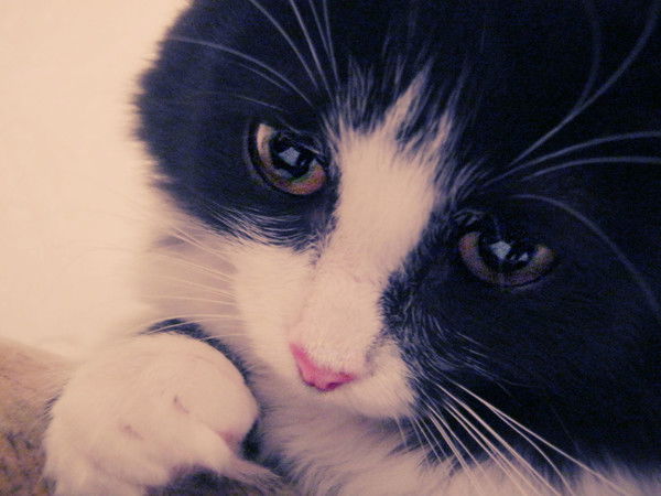 Жанна Муратбековна