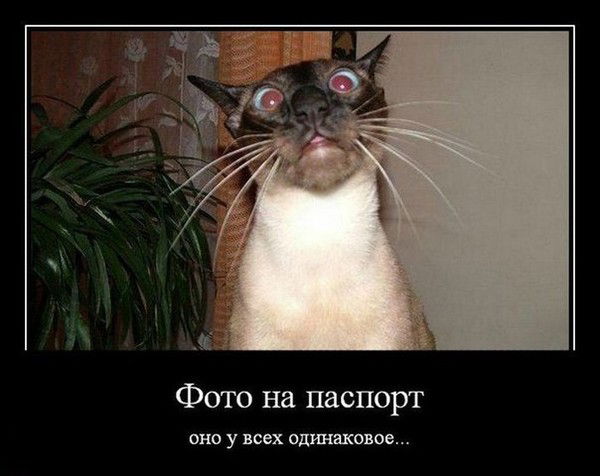 Александр ....