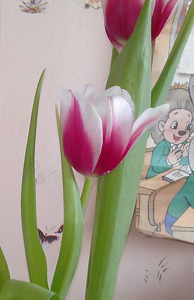 Диана Эргардт