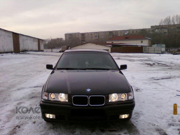 Николай Пак