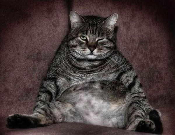 Руслан Алмамедов