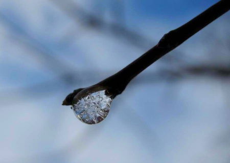 Капелька Росы