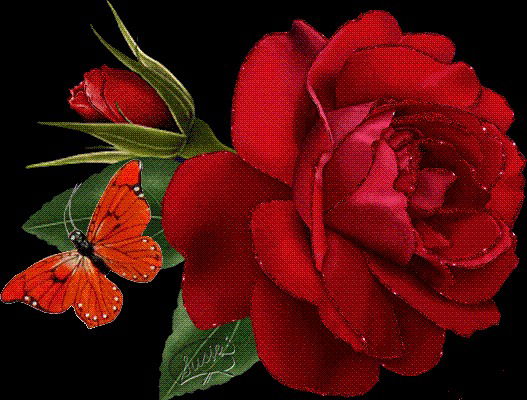 Шынар Сеилханова