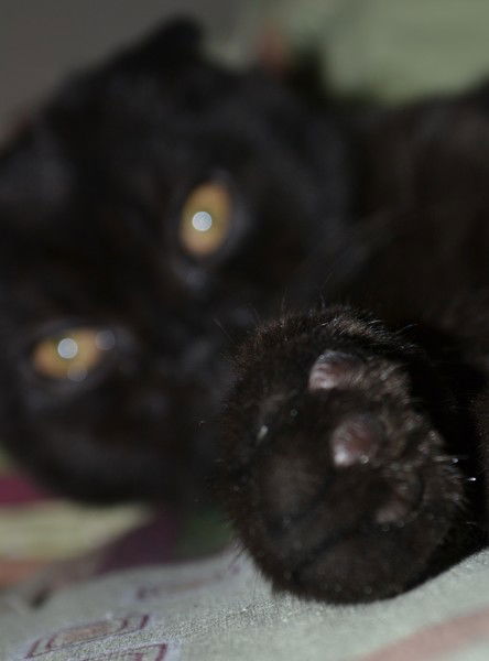 Алексей Захарычев