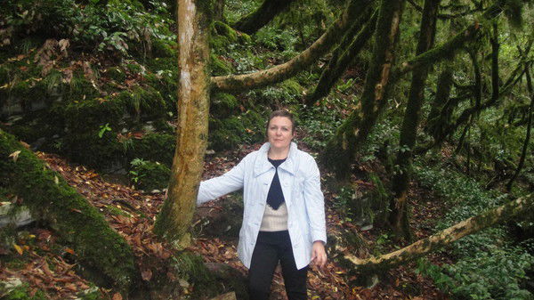 Елена Кардашова