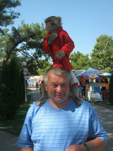 Анатолий Любутский