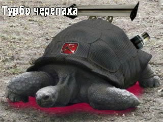 Хамзат Алесханов